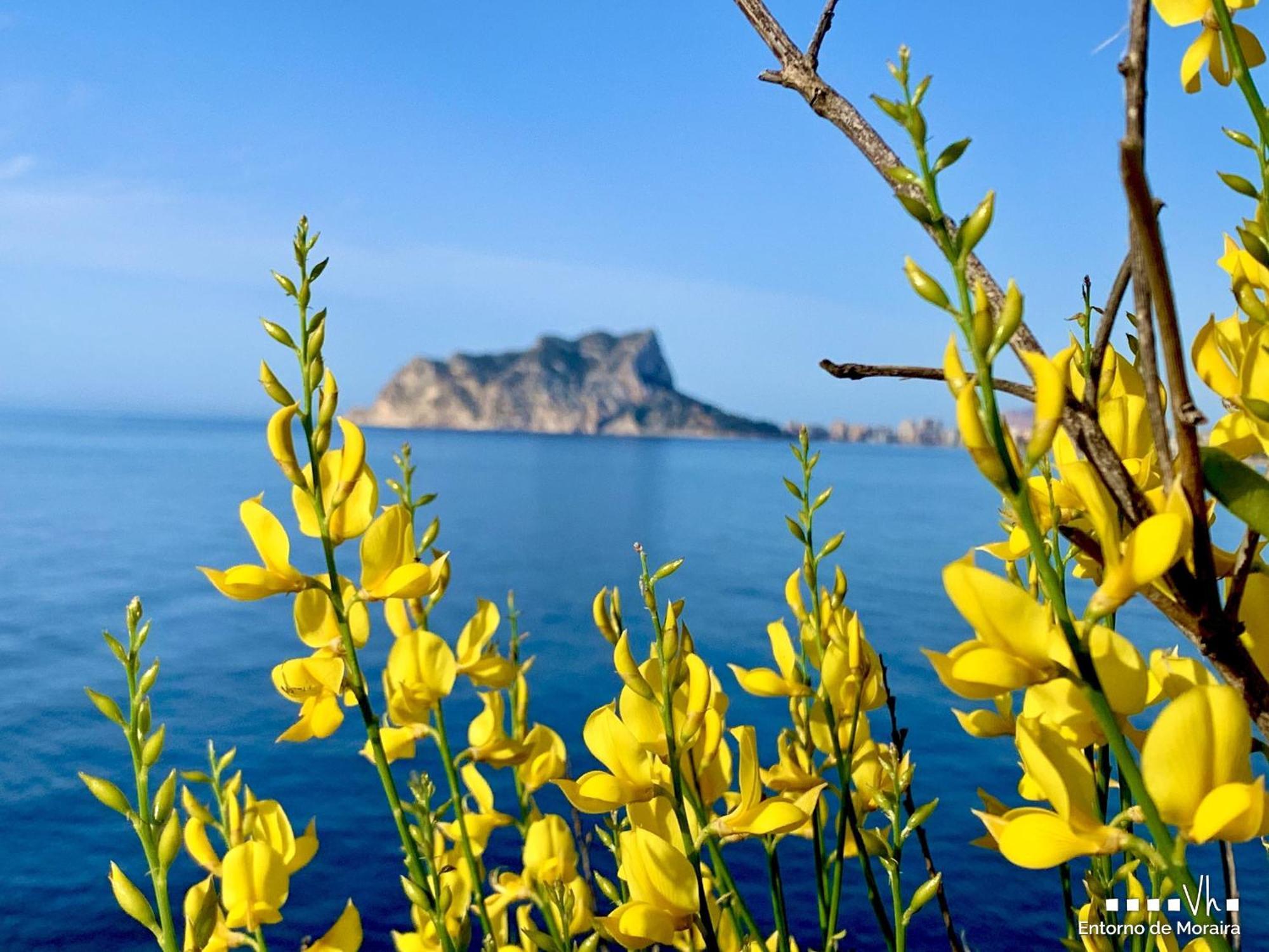 Vh Costablanca - Apartamento Riviera Moraira Exteriér fotografie